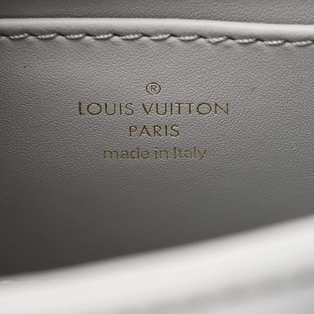 Louis Vuitton Ecume Grey 14 MM Leather Replica Handbags - Image 4