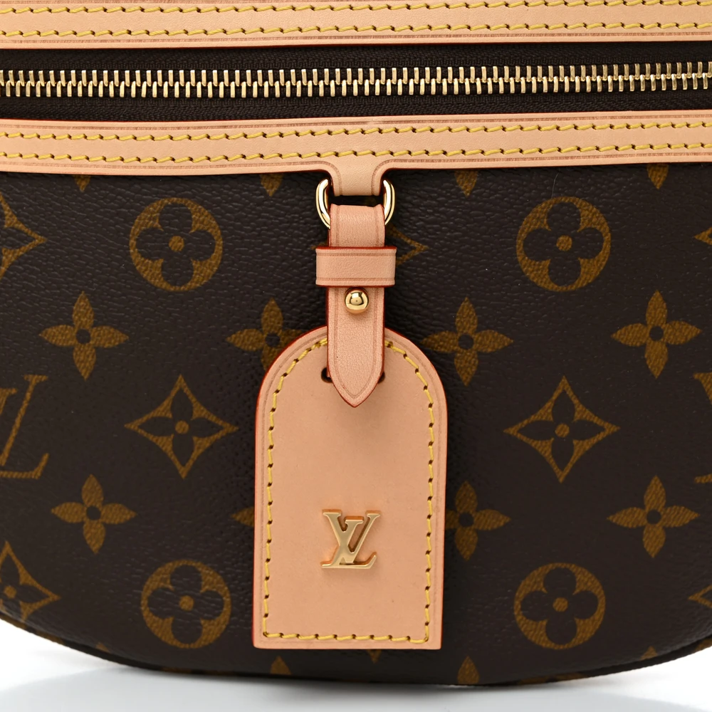 Mirror Quality Replica Louis Vuitton Bumbag with Gold Hardware - Image 5