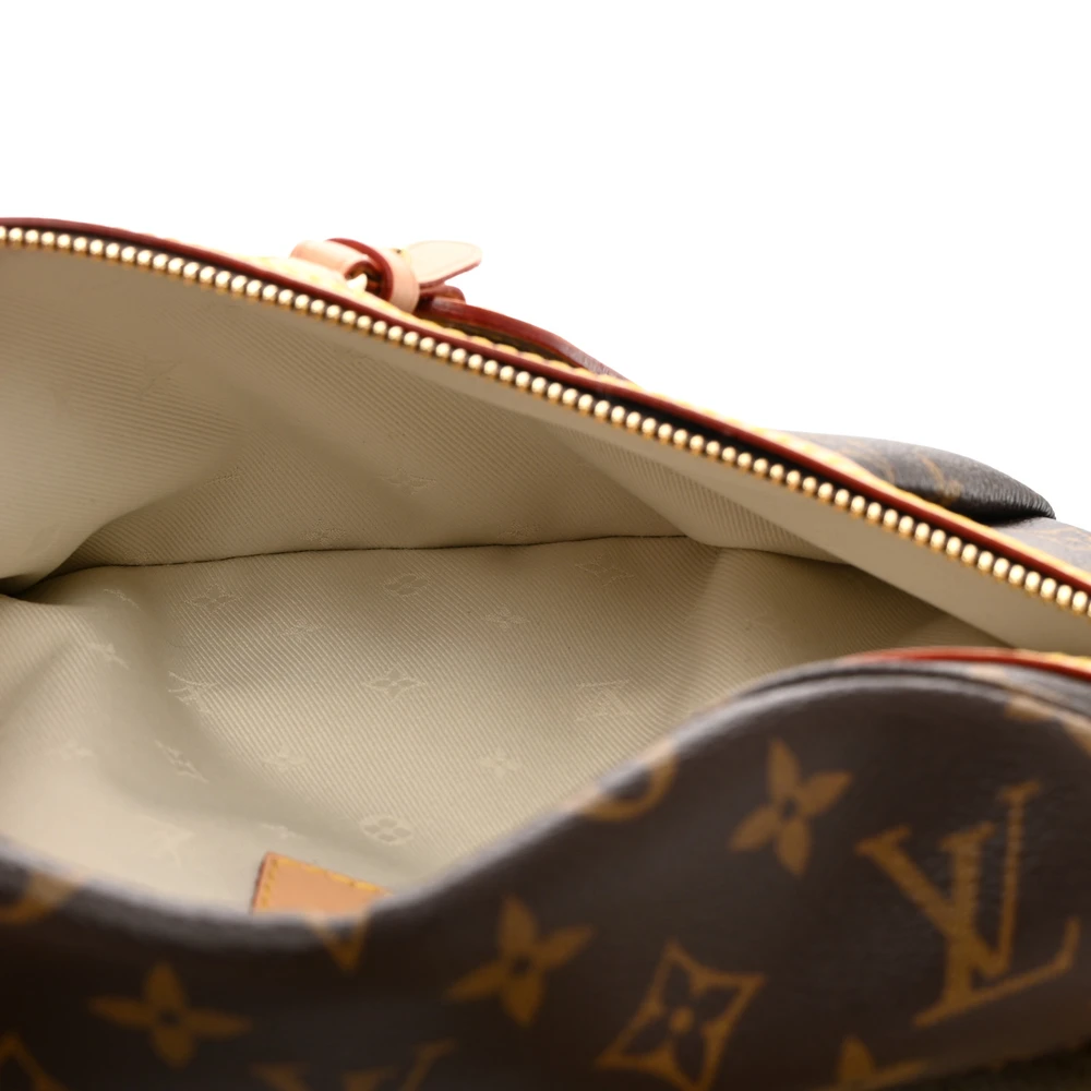 Mirror Quality Replica Louis Vuitton Bumbag with Gold Hardware - Image 4