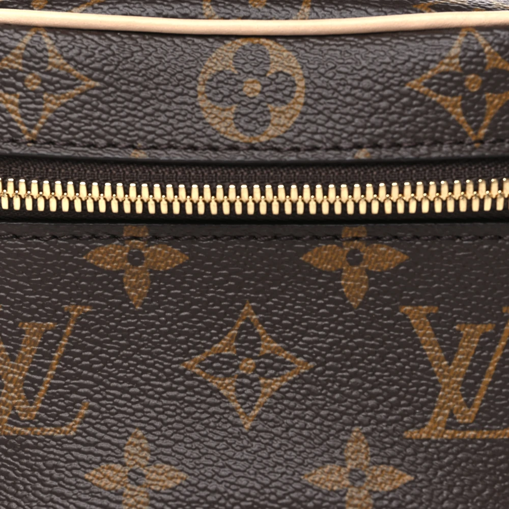 Superfake Louis Vuitton Monogram Nano Nice – Gold Hardware - Image 6