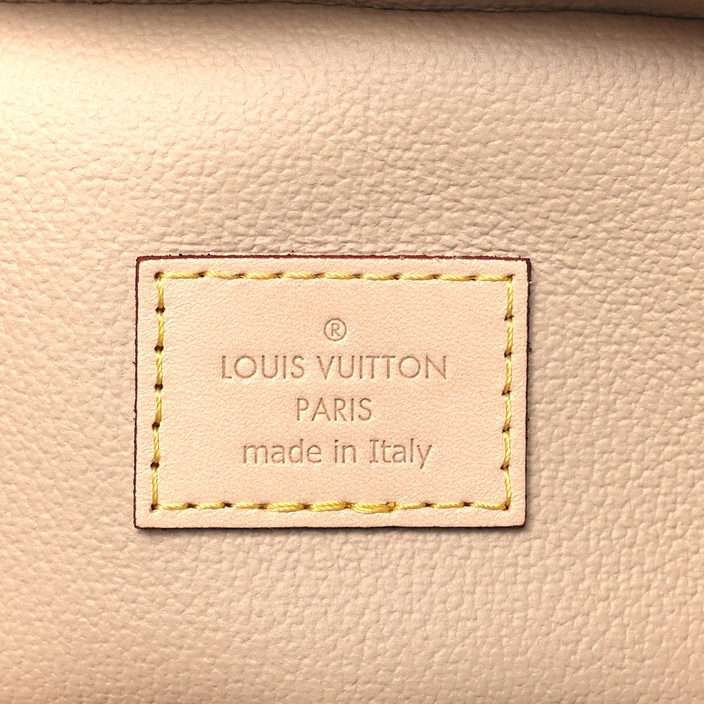 Superfake Louis Vuitton Monogram Nano Nice – Gold Hardware - Image 4